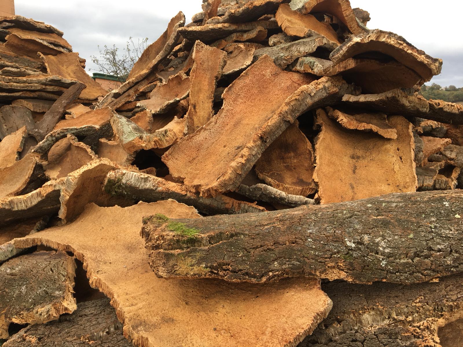 Corteccia di sughero grezza – Sugherificio Castello srl